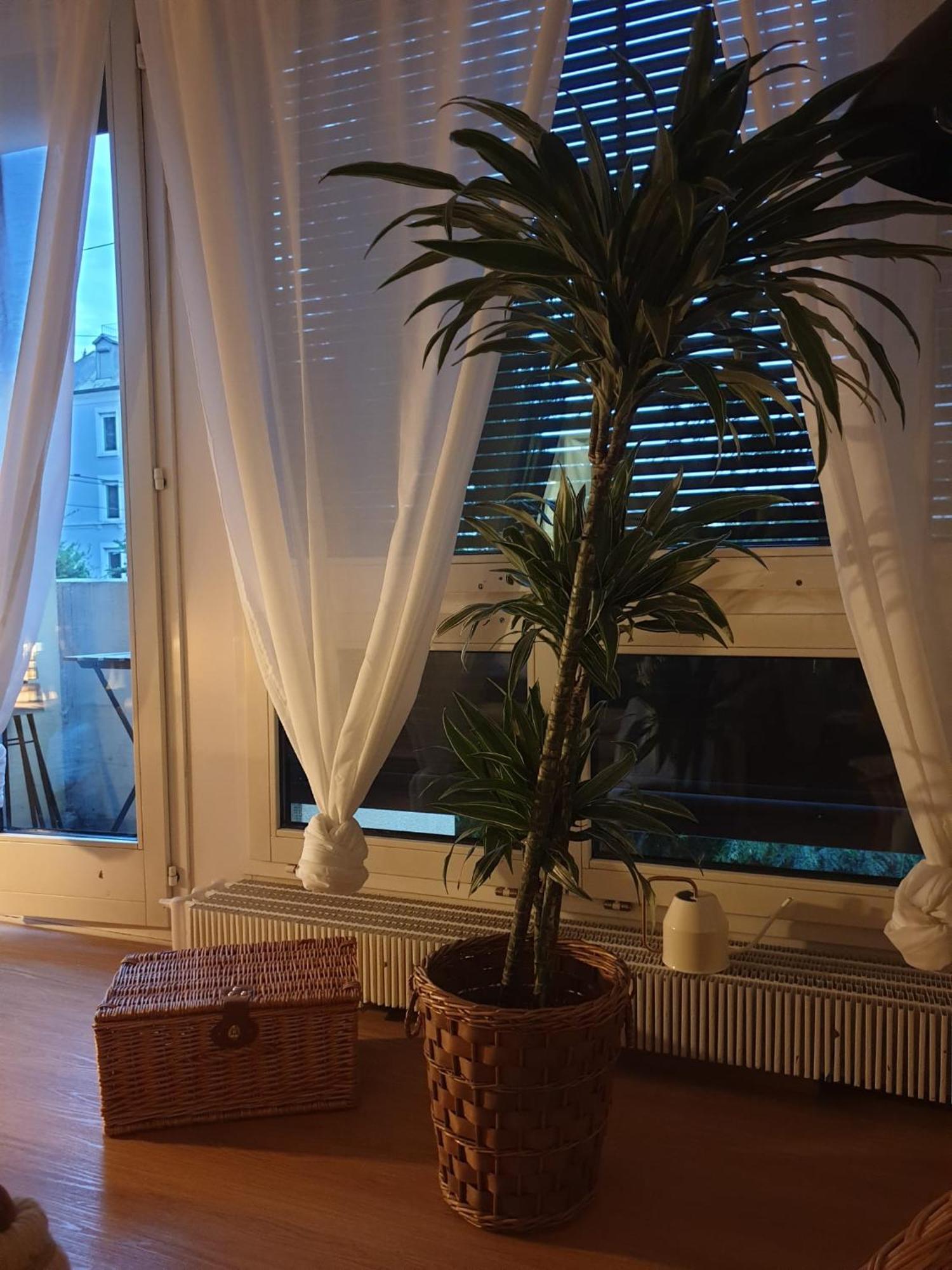 El Destino Apartments Zurich Ngoại thất bức ảnh